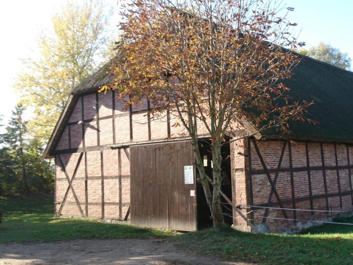 Ferienwohnung Reiterhof Groß Stubben Poseritz Exterior foto